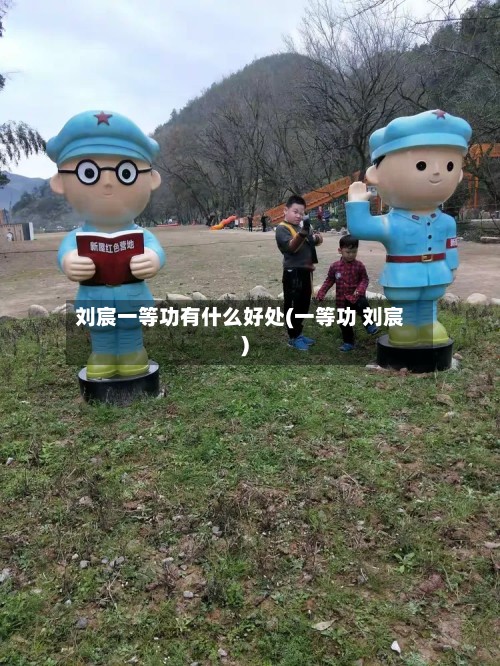 刘宸一等功有什么好处(一等功 刘宸)-第3张图片