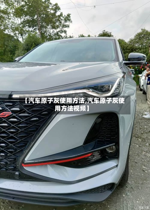 【汽车原子灰使用方法,汽车原子灰使用方法视频】-第3张图片